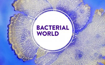 Life * PsychoBiotic – Living in a Bacterial World